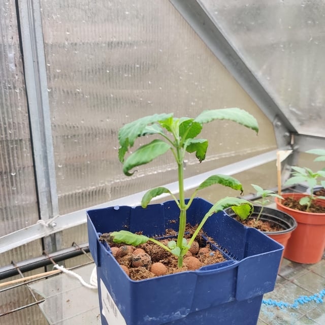 361638421_207990732235707_6517274450856782428_n