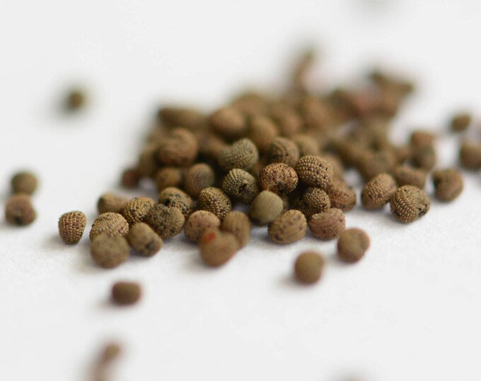 il_680x540.1381910465_s9q7