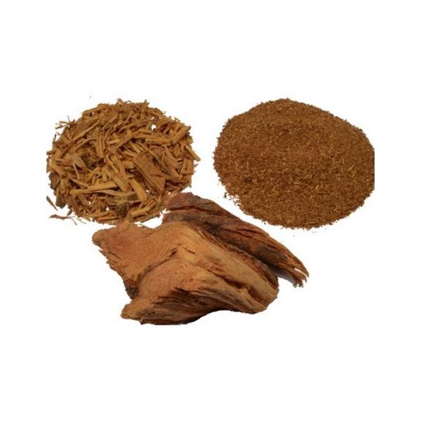 klavohuaska_kora_tynanthus_panurensis_clavo_huasca-228-B