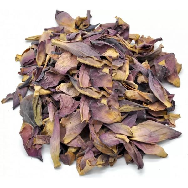 rozovyiy_lotos_lepestki_nelumbo_nucifera-214-B