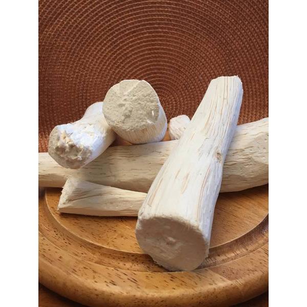 sinaptolepis_kirki__synaptolepis_kirkii-234-B