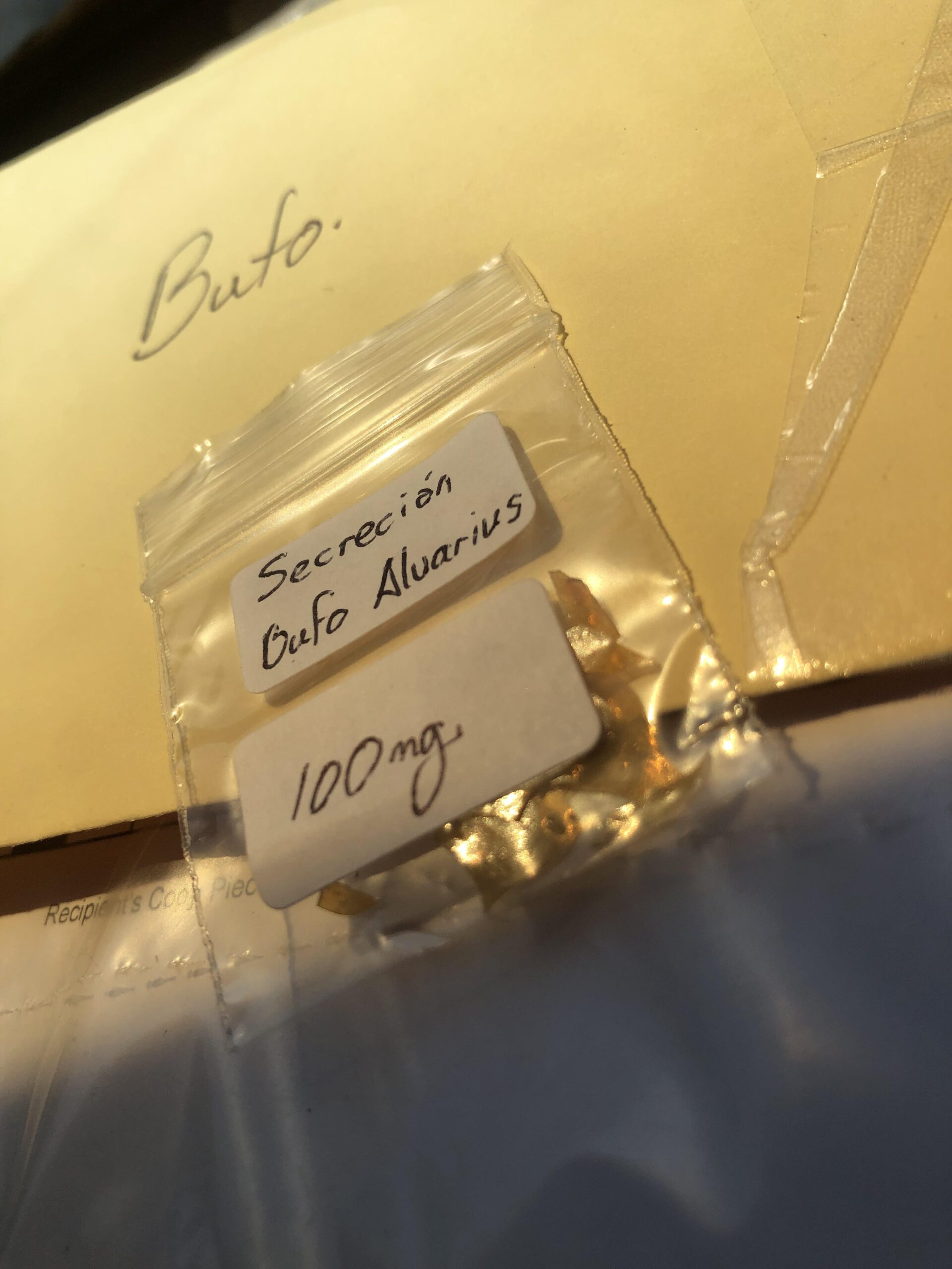 Bufo-alvarius-venom-scaled