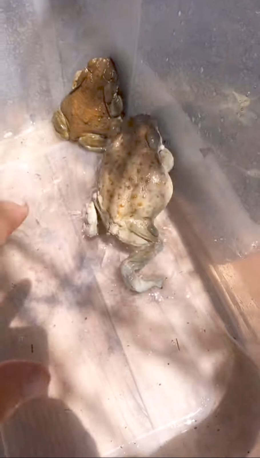 WhatsApp-Image-2023-02-21-at-11.00.47-AM